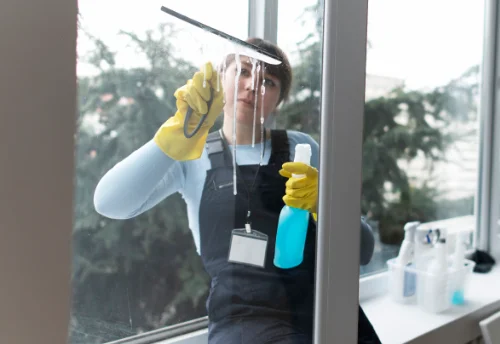Nettoyage de vitres intérieures et extérieures à Saint-Germain-le-Vasson